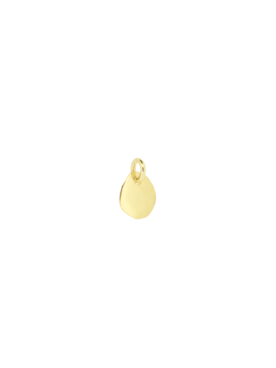 Add a hammered coin | Gold Plated Silver