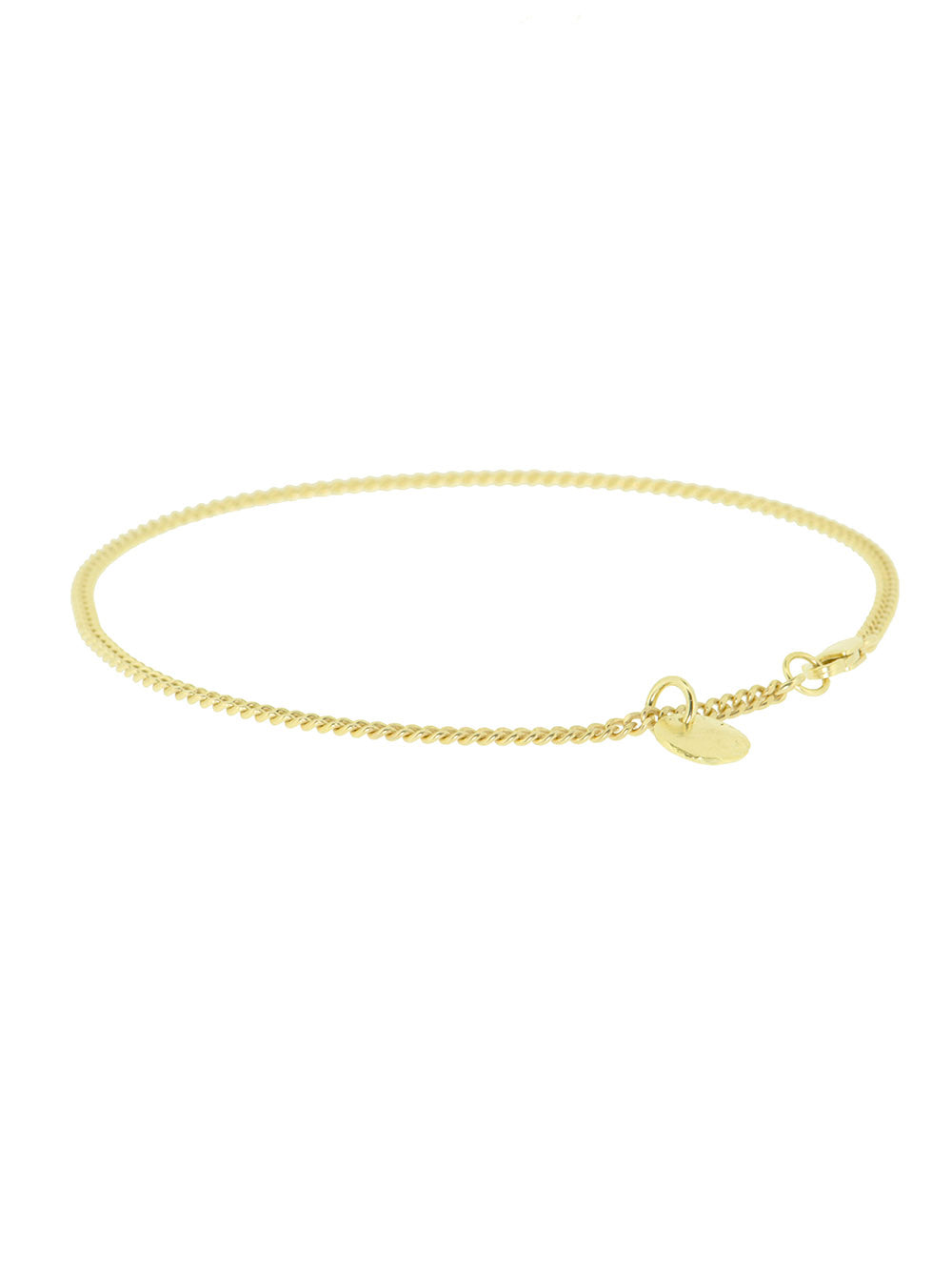 Ankle Chain Coin | 14K Gold Plated
